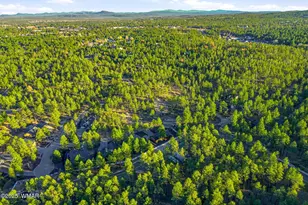 30 S Bench Cir, Show Low, AZ 85901 - Photo 37