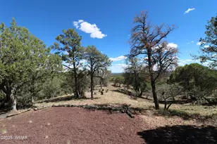 5287 Alserita Rd Rd, Show Low, AZ 85934 - Photo 31