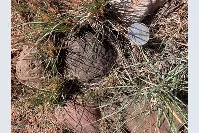 1342 County Road 5020, Concho, AZ 85924 - Photo 11