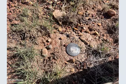 1342 County Road 5020, Concho, AZ 85924 - Photo 9