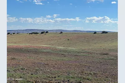 1342 County Road 5020, Concho, AZ 85924 - Photo 7