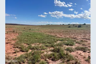 1342 County Road 5020, Concho, AZ 85924 - Photo 3