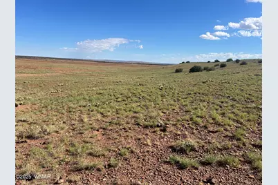 1342 County Road 5020, Concho, AZ 85924 - Photo 5