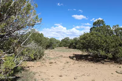 10 Co Rd 3044, Concho, AZ 85924 - Photo 5