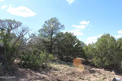 10 Co Rd 3044, Concho, AZ 85924 - Photo 11