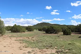 10 Co Rd 3044, Concho, AZ 85924 - Photo 1