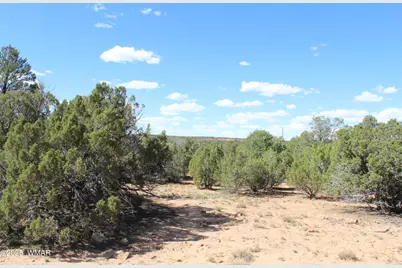 10 Co Rd 3044, Concho, AZ 85924 - Photo 9