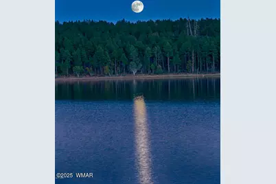 2332 Hall Drive, Lakeside, AZ 85929 - Photo 87