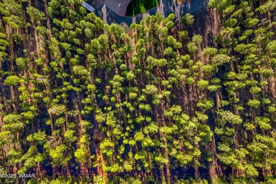 2332 Hall Drive, Lakeside, AZ 85929 - Photo 81