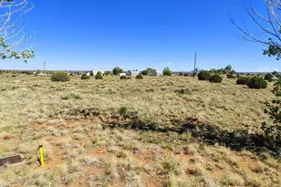 1190 S Haystack Rd, Taylor, AZ 85939 - Photo 1