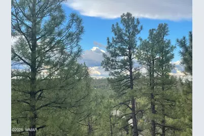 861 E Pine Oaks Drive, Show Low, AZ 85901 - Photo 63