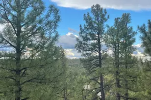 861 E Pine Oaks Dr, Show Low, AZ 85901 - Photo 63