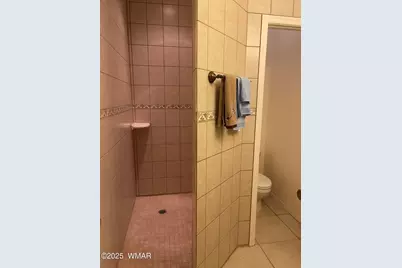 861 E Pine Oaks Drive, Show Low, AZ 85901 - Photo 47