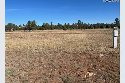 2310 Quarter Horse Trail, Overgaard, AZ 85933 - Photo 1