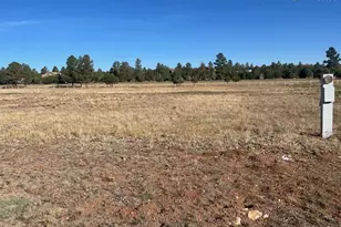 2310 Quarter Horse Trl, Overgaard, AZ 85933 - Photo 1