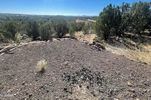 1787 Bemus Pl, Show Low, AZ 85901 - Photo 1