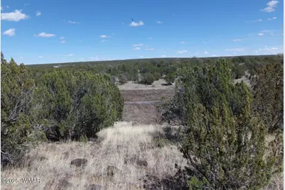 1787 Bemus Place, Show Low, AZ 85901 - Photo 9