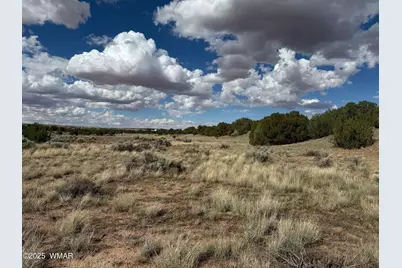 Tbd Falcon Drive, Taylor, AZ 85939 - Photo 11