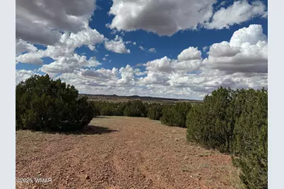Tbd Falcon Drive, Taylor, AZ 85939 - Photo 15