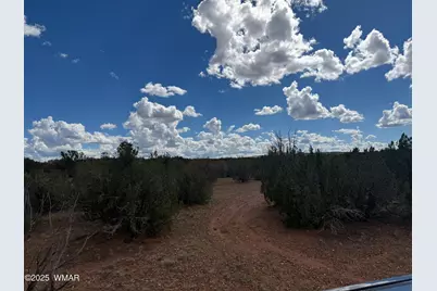 Tbd Falcon Drive, Taylor, AZ 85939 - Photo 19