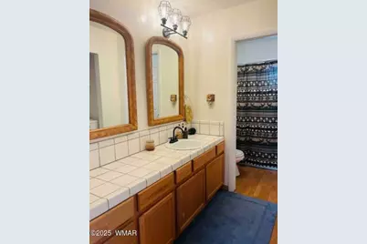 2231 Meadow Lane, Overgaard, AZ 85933 - Photo 15