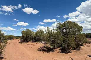 8933 Blue Jay Ln, Snowflake, AZ 85937 - Photo 1
