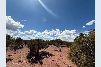 8933 Blue Jay Lane, Snowflake, AZ 85937 - Photo 15