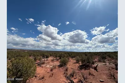 8933 Blue Jay Lane, Snowflake, AZ 85937 - Photo 9