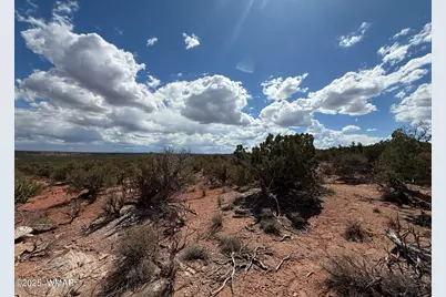 8933 Blue Jay Lane, Snowflake, AZ 85937 - Photo 11
