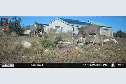 164 N Acr 3411, Vernon, AZ 85940 - Photo 5