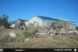 164 N Acr 3411, Vernon, AZ 85940 - Photo 5