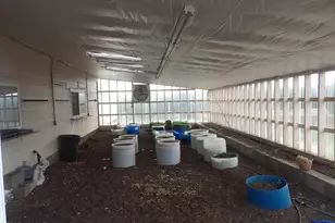 164 N Acr 3411, Vernon, AZ 85940 - Photo 33