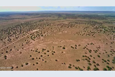 5386 County Road N5386, Saint Johns, AZ 85936 - Photo 5