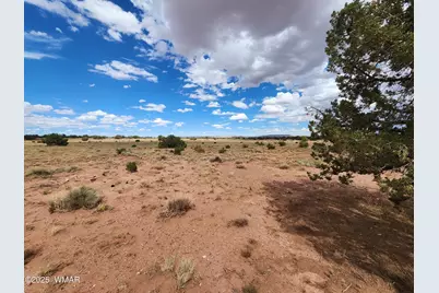 5386 County Road N5386, Saint Johns, AZ 85936 - Photo 11