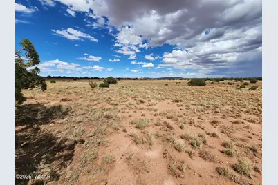 5386 County Road N5386, Saint Johns, AZ 85936 - Photo 15