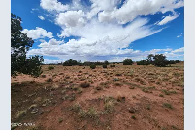 5386 County Road N5386, Saint Johns, AZ 85936 - Photo 1