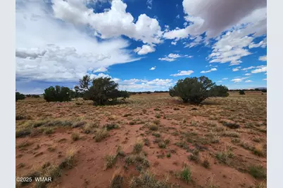5386 County Road N5386, Saint Johns, AZ 85936 - Photo 25