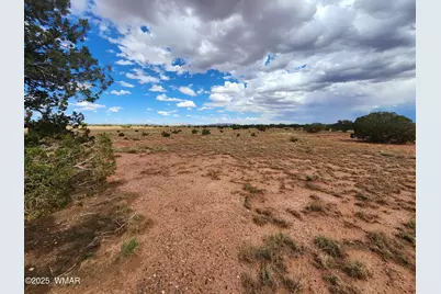 5386 County Road N5386, Saint Johns, AZ 85936 - Photo 7