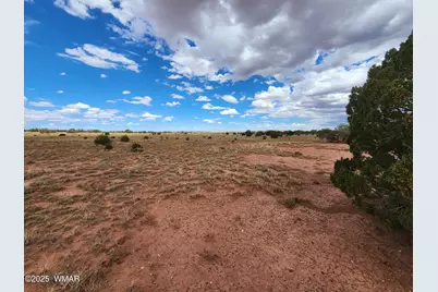 5386 County Road N5386, Saint Johns, AZ 85936 - Photo 3