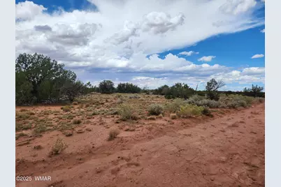 5386 County Road N5386, Saint Johns, AZ 85936 - Photo 29