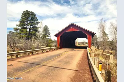 5523 Turkey Run Road, Pinedale, AZ 85934 - Photo 33