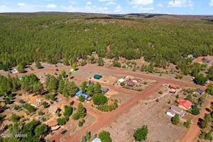 5523 Turkey Run Rd, Pinedale, AZ 85934 - Photo 25