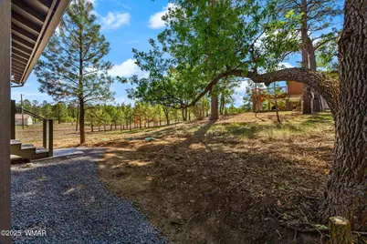 5523 Turkey Run Road, Pinedale, AZ 85934 - Photo 31
