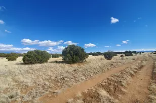 8 County Road 5203, Concho, AZ 85924 - Photo 1