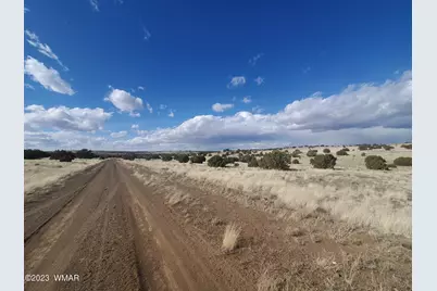 8 County Road 5203, Concho, AZ 85924 - Photo 3