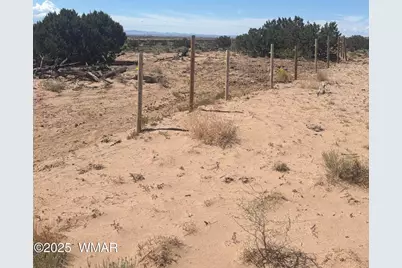 102 County Road N 6287, Saint Johns, AZ 85936 - Photo 11