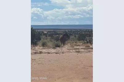 102 County Road N 6287, Saint Johns, AZ 85936 - Photo 7