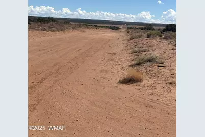 102 County Road N 6287, Saint Johns, AZ 85936 - Photo 19
