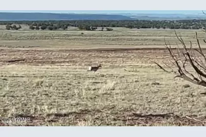102 County Road N 6287, Saint Johns, AZ 85936 - Photo 27