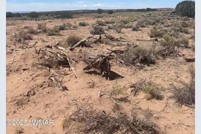 102 County Road N 6287, Saint Johns, AZ 85936 - Photo 13